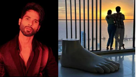 Shahid Kapoor and Mira Rajput Kapoor's luxurious Rs 58 crore home offers a delightful view