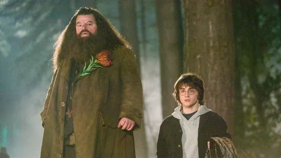 Robbie Coltrane, who played 'Rubeus Hagrid' in 'Harry Potter', dies at the age of 72