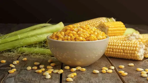 Corn Benefits: ਕੋਲੈਸਟ੍ਰੋਲ ਘਟਾਉਣ ਤੋਂ ਲੈ ਕੇ ਵਾਲਾਂ ਦੇ ਝੜਨ ਨੂੰ ਕੰਟਰੋਲ ਕਰਨ ਤਕ, ਜਾਣੋ ਮੱਕੀ ਦੇ ਹੋਰ ਫਾਇਦੇ