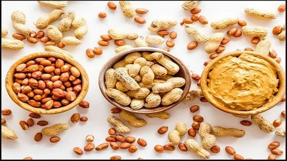 Health Benefits of Peanuts:ਸਰਦੀਆਂ 'ਚ ਜ਼ਰੂਰ ਖਾਓ ਮੂੰਗਫਲੀ, ਸਰੀਰ 'ਚ ਪੌਸ਼ਟਿਕ ਤੱਤਾਂ ਦੀ ਘਾਟ ਨੂੰ ਕਰਦੀ ਹੈ ਪੂਰਾ