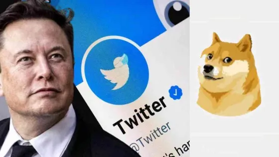 Twitter replaces classic blue bird logo with Doge meme, confirms CEO Elon Musk