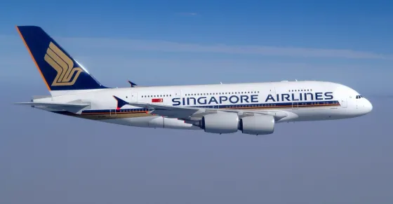 Singapore Airlines Ordered To Pay Rs 2 Lakh for Seat Malfunction