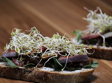 Caramalized Onion and Fig Open Sandwich