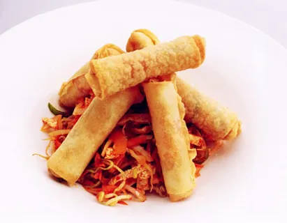 Tofu And Vegetable Spring Rolls
