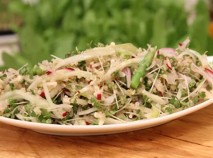 Quinoa Salad with Cabbage Green 
