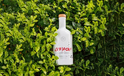 Himmaleh Spirits introduces India’s first provincial dry gin