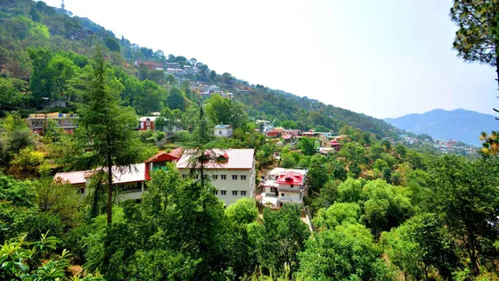 Exploring the Hidden Gems of Kasauli: Must-See Tourist Places
