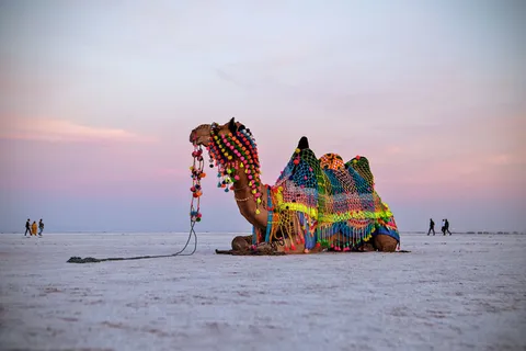Unveiling the Beauty: Exploring the Top 10 Kutch Tourist Places