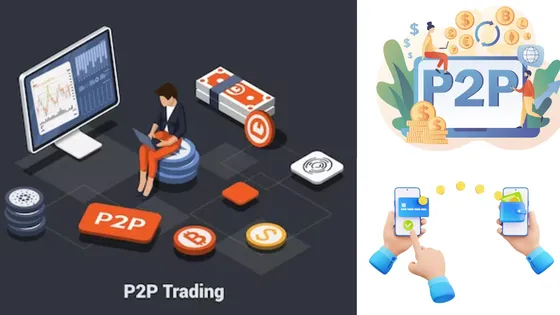 What Is the Working Procedure of P2P Lending Platforms and Offerings?