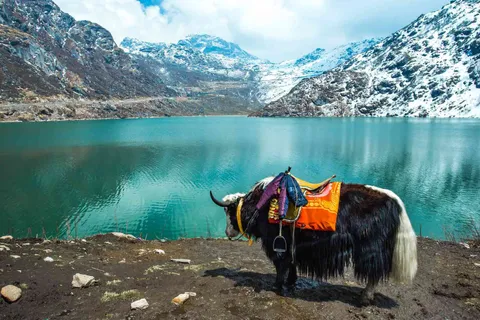 Discover the Captivating Beauty of Sikkim: Top ‍ 10 Must-Visit Tourist Places