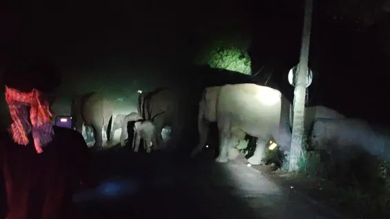 WhatsApp Image 2025-04-03 at 17.59.28