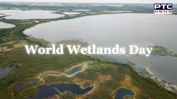 world wetland.jpg