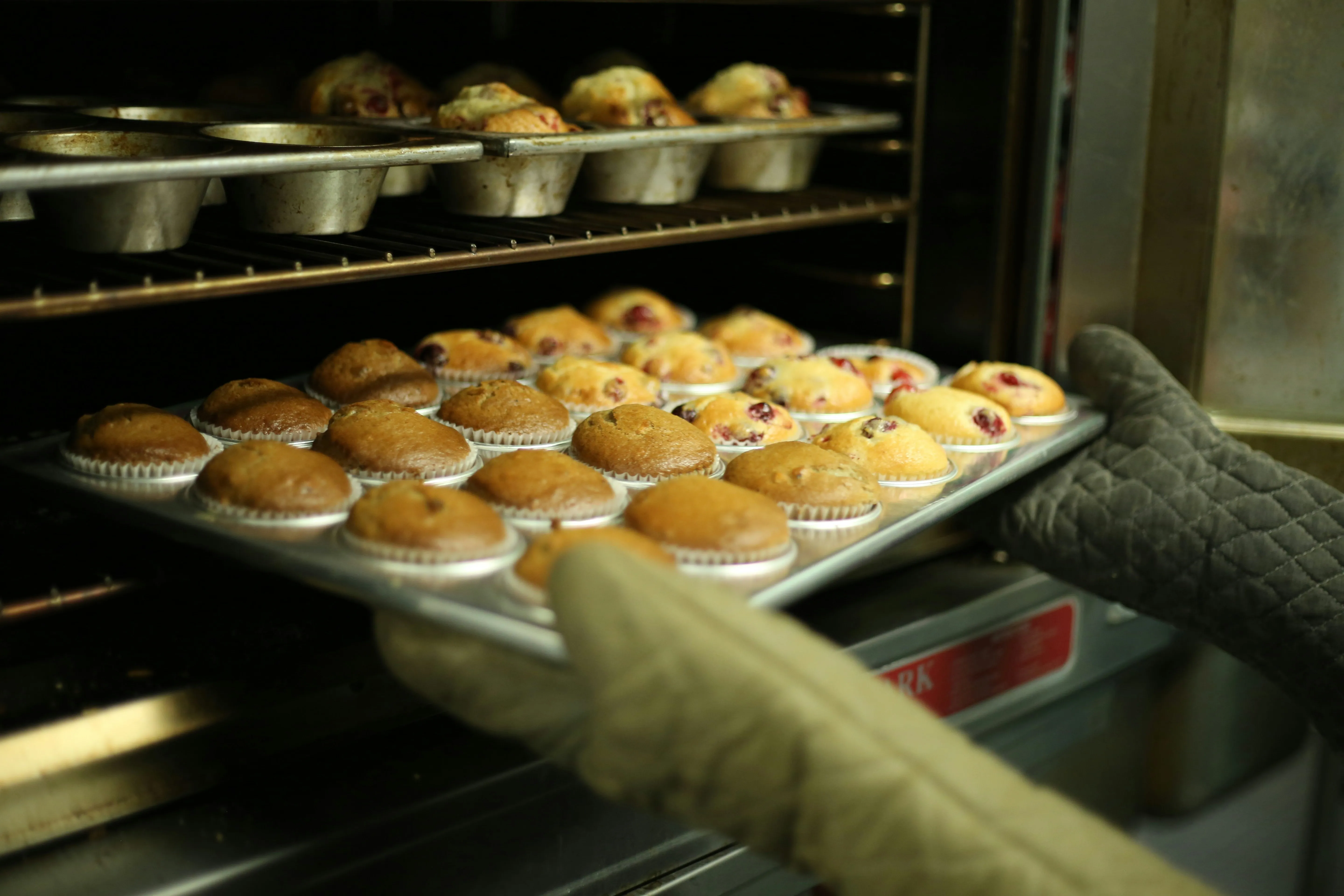 Mushroom Cupcakes