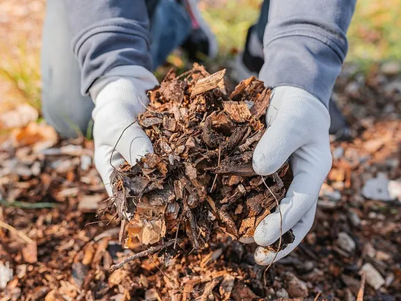 What is Mulching and its benefits
