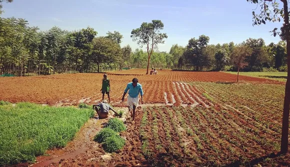 amogh working on farm multiple cropping