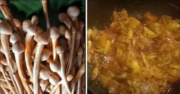 bihiden mushroom and curry