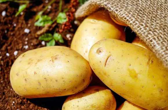 potatoes-1594205506