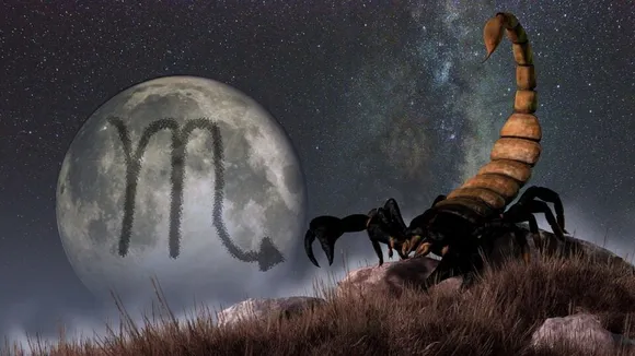 Scorpio Horoscope February Month: বৃশ্চিক রাশির এই মাস কেমন যাবে? জানুন  ফেব্রুয়ারির রাশিফল - Scorpio Horoscope February Month, ভাগ্যলিপি নিউজ