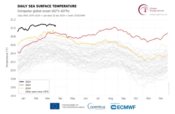 Daily global average surface air temperature