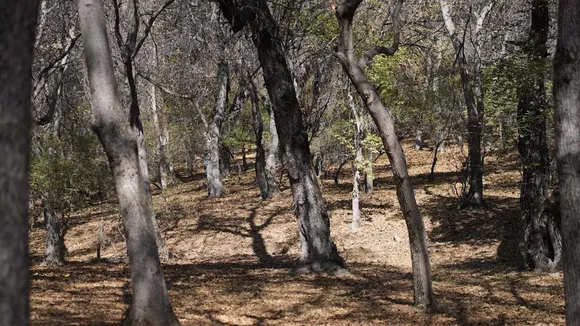 Sajan G | Travelogue  