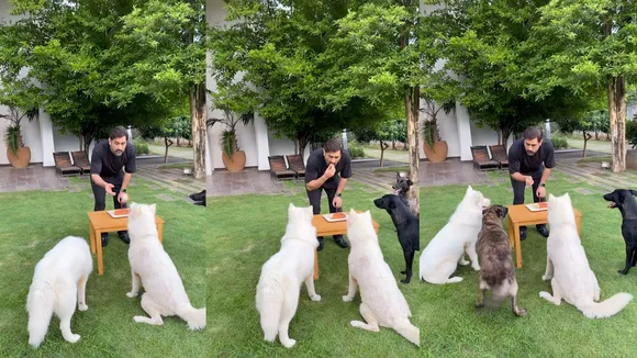 Dhoni celebrates 42nd birthday with his pet dogs