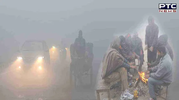 Punjab to witness dense fog for two days starting December 20, says weather expert