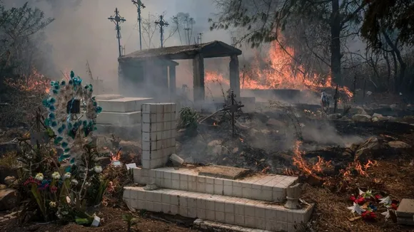 Wildfires Consume 600 Hectares in Veracruz, Mexico: Authorities Rally Response