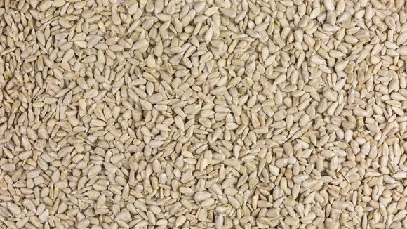 Power of Potassium in Sunflower Seeds: An Alternative to Bananas