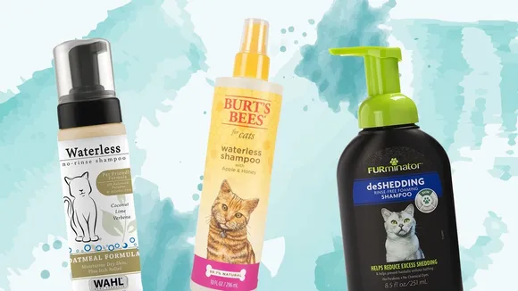Can i use waterless cat sales shampoo on my dog