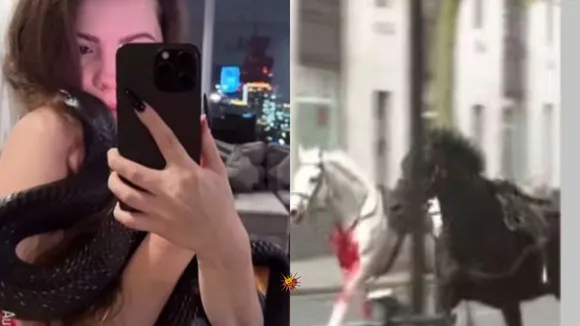 Viral Videos: A Girl Posing with a Snake, a Pakistani Woman Running Over Police, Two Horses Running Across Central London and More