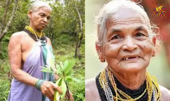 The 'Encyclopedia of Forest': Meet Tulasi Gowda, the Barefoot Padma Awardee!