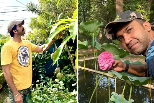 Engineer creates mini forest at home; grows 400 exotic plants