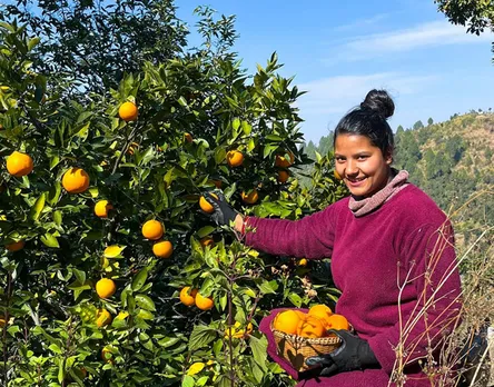 Organic pomegranates and Himalayan coolers