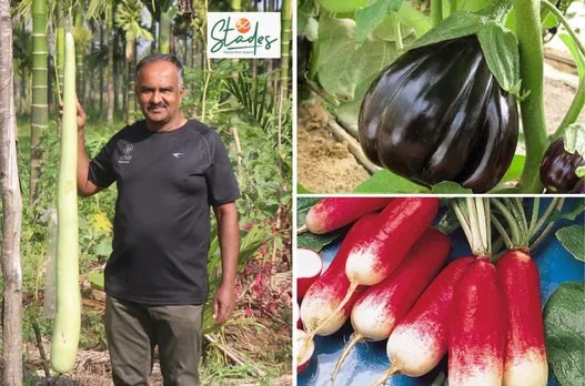 Aftab MB has saved organic seeds of over 800 vegetables 