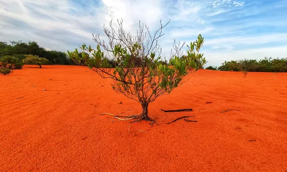 Theri Kaadu: The red sand desert in Tamil Nadu