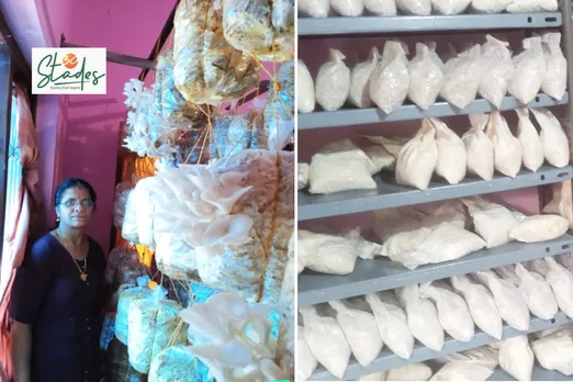 Chitralekha grows oyster mushrooms and also makers spawns at her Kannur unit