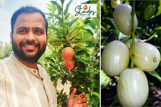 Vikrant Kale at his farm in Ahmednagar (now Ahilyanagar) in Maharashtra