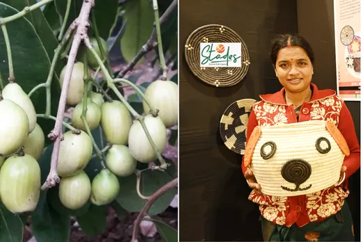 White Jamun and Sabai Grass