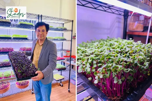 Mohit Nijhawan at his microgreens unit in Chandigarh