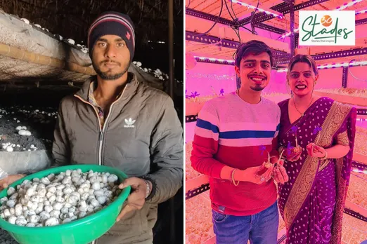 Mushrooms in Huts and Saffron in a Room