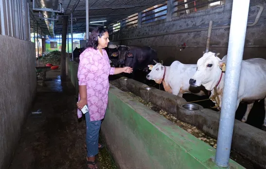 Vidhu Rajeev's farm integrates dairy and poultry farming with the cultivation of veggies and spices