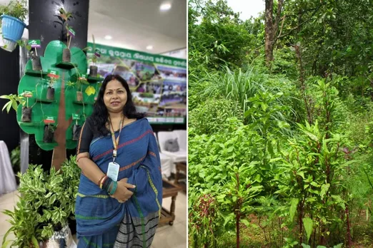 Mamata Biswal  has planted thousands of medicinal plants in schools, colleges, temples and municipal areas 