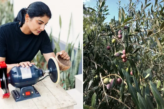 Thenga, Kadaknath and olive farming