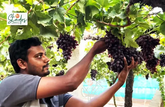 Karthik Gowda at his farm in Hoskote near Bengaluru
