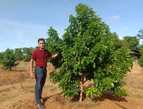 Engineer quits US job to cultivate exotic fruits in TN, earns four times more per acre than traditional fruits