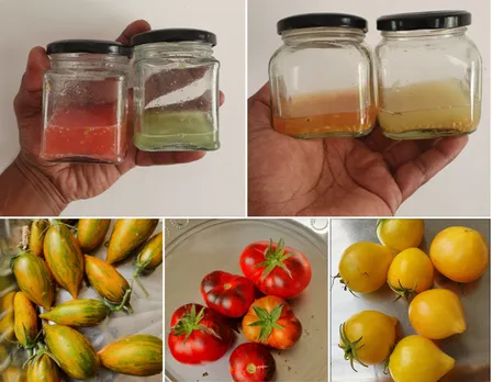 Seeds are preserved in glass jars