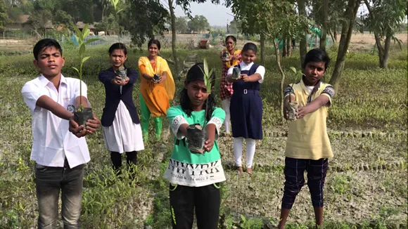 SUNDERBANS CLIMATE WALL