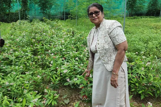 65-year-old woman turns barren land into organic farm of medicinal plants, earns Rs50 lakh annually