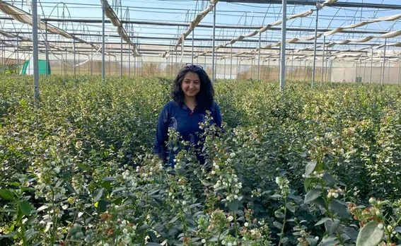 Lawyer quits job to grow raspberry and blueberry in Pune; gets bumper harvest