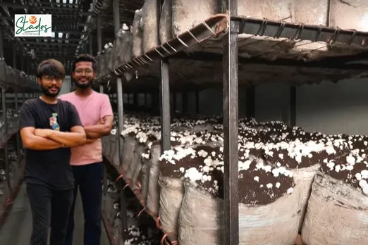 How two brothers in Agra earn Rs2 lakh daily from mushroom farming